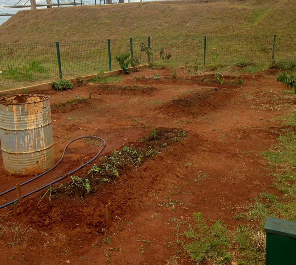 WhatsApp Image 2019-10-09 at 18.16.14